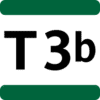 T3b